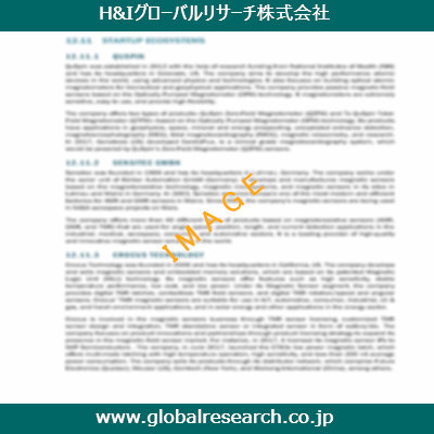 市場調査レポートのイメージ
