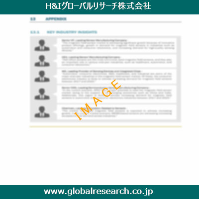 市場調査レポートのイメージ