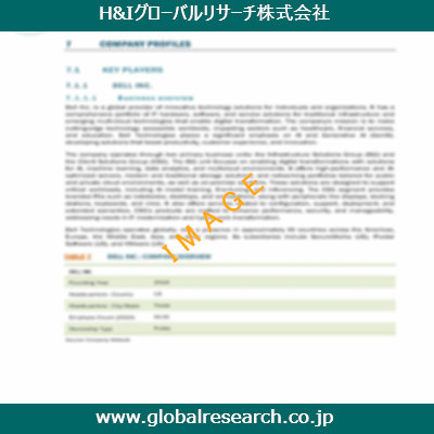 市場調査レポートのイメージ