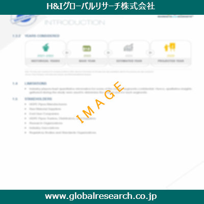市場調査レポートのイメージ