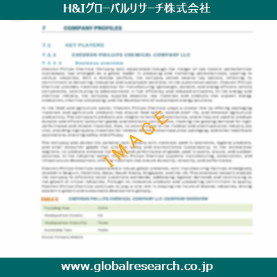 市場調査レポートのイメージ