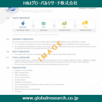 市場調査レポートのイメージ
