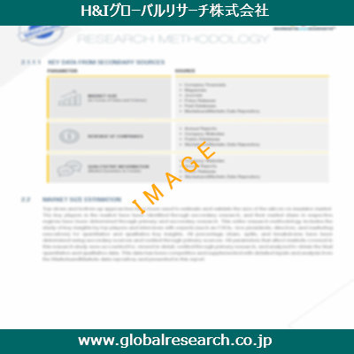 市場調査レポートのイメージ