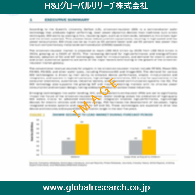市場調査レポートのイメージ