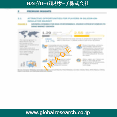 市場調査レポートのイメージ