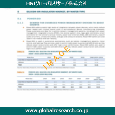 市場調査レポートのイメージ