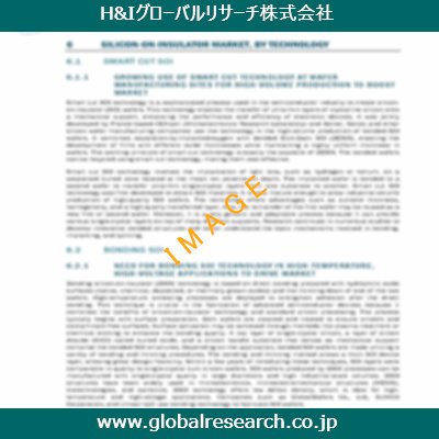 市場調査レポートのイメージ
