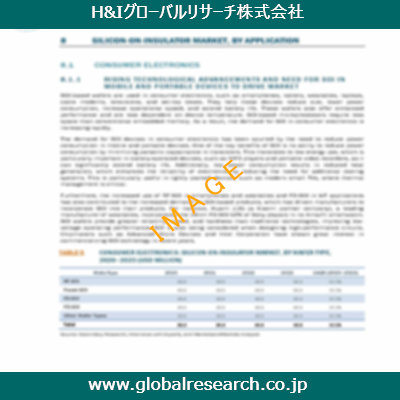市場調査レポートのイメージ