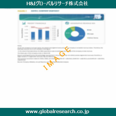 市場調査レポートのイメージ