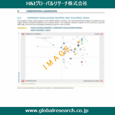 市場調査レポートのイメージ