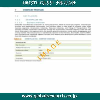 市場調査レポートのイメージ