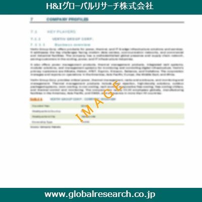 市場調査レポートのイメージ