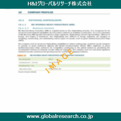 市場調査レポートのイメージ