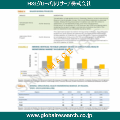 市場調査レポートのイメージ