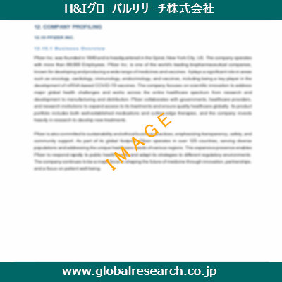 市場調査レポートのイメージ
