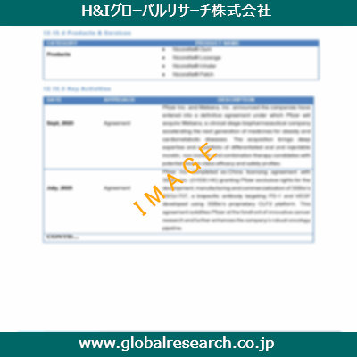市場調査レポートのイメージ