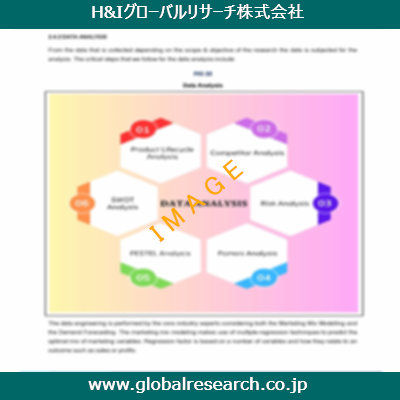 市場調査レポートのイメージ