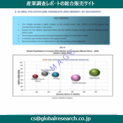 市場調査資料のイメージ