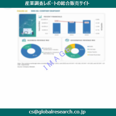 市場調査資料のイメージ