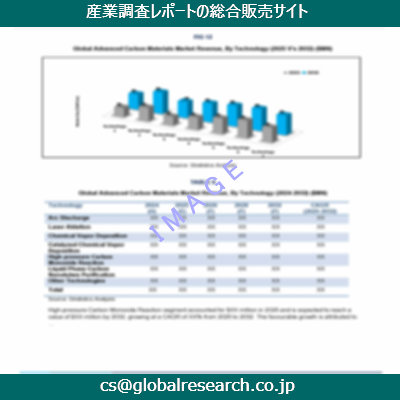 市場調査資料のイメージ