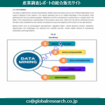市場調査資料のイメージ