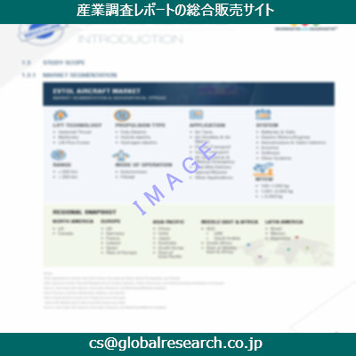 市場調査資料のイメージ
