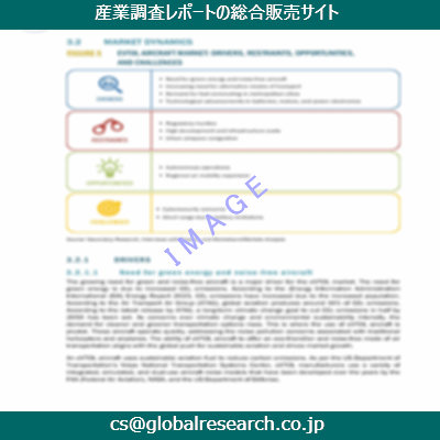 市場調査資料のイメージ