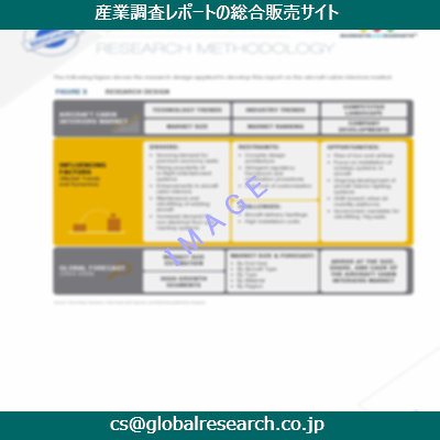 市場調査資料のイメージ