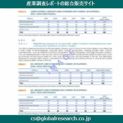 市場調査資料のイメージ