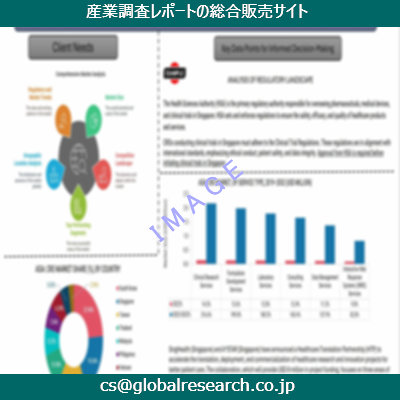 市場調査資料のイメージ