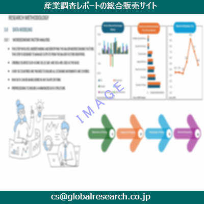 市場調査資料のイメージ