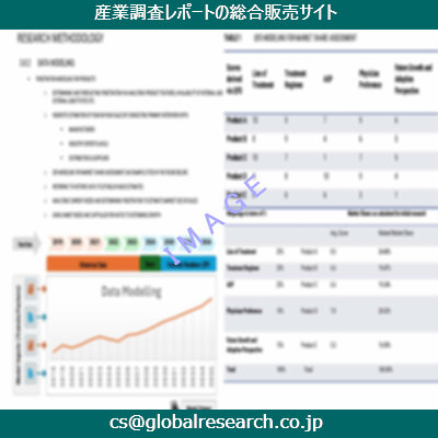 市場調査資料のイメージ