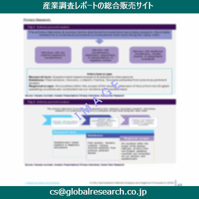 市場調査資料のイメージ