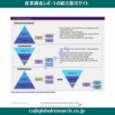 市場調査資料のイメージ