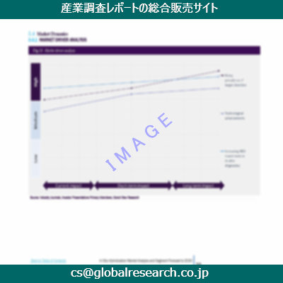 市場調査資料のイメージ