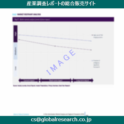 市場調査資料のイメージ