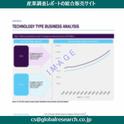 市場調査資料のイメージ