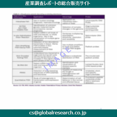 市場調査資料のイメージ