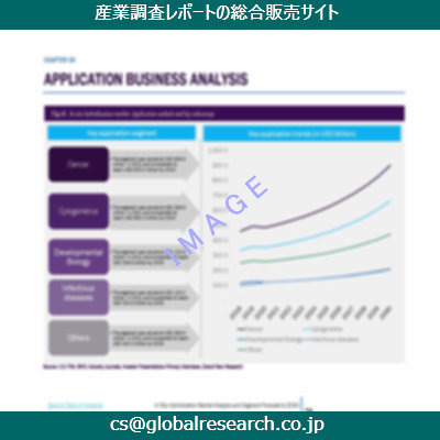 市場調査資料のイメージ
