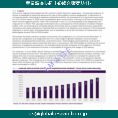 市場調査資料のイメージ