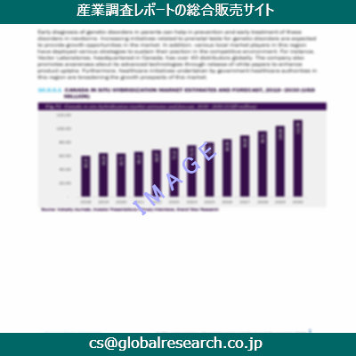 市場調査資料のイメージ