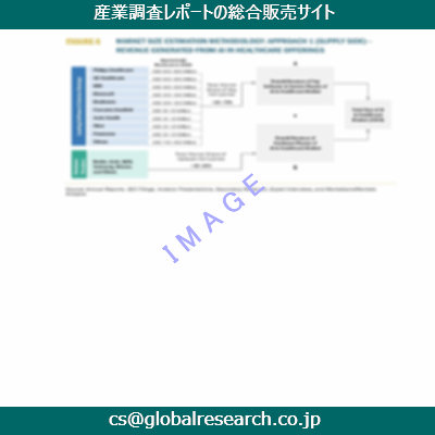 市場調査資料のイメージ