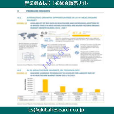 市場調査資料のイメージ
