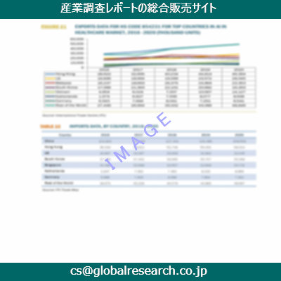 市場調査資料のイメージ