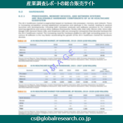 市場調査資料のイメージ