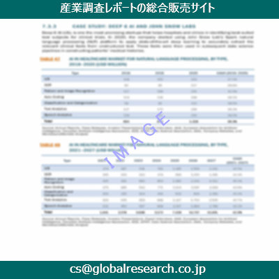 市場調査資料のイメージ