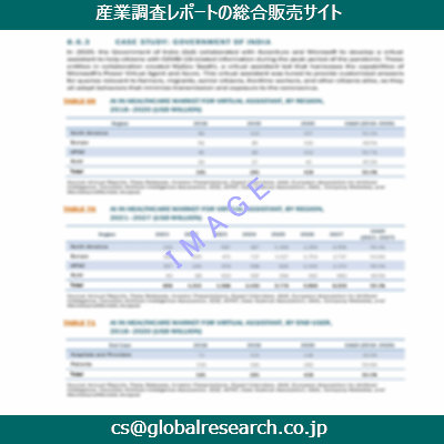 市場調査資料のイメージ