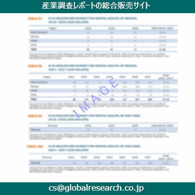 市場調査資料のイメージ