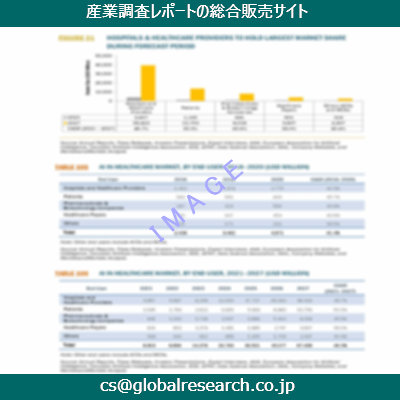 市場調査資料のイメージ