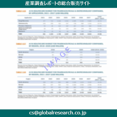 市場調査資料のイメージ